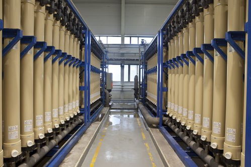 北京亦莊 綠色工廠數(shù)量領(lǐng)跑全市，技術(shù)開發(fā)驅(qū)動產(chǎn)業(yè)升級