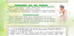 智慧森林 童裝品牌新勢力，攜手遠大恒通共創未來